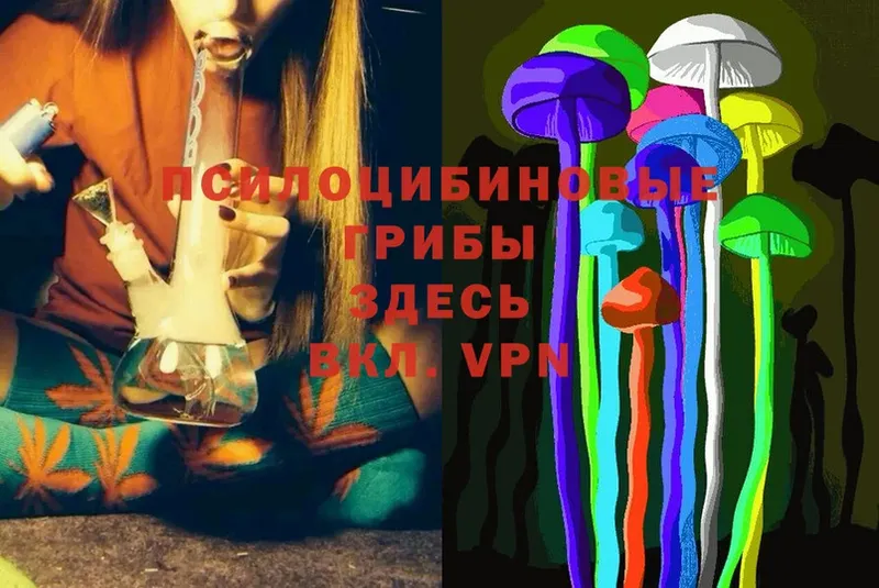 MEGA онион  Североуральск  Галлюциногенные грибы Magic Shrooms  darknet наркотические препараты  где продают  